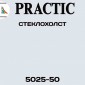 Стеклохолст GlassBand 25 г/м2 Practic 5025-50