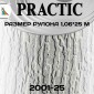 Обои Практик 2001-25 в рулоне 25х1,06 м