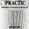 Обои Практик 2001-25 в рулоне 25х1,06 м
