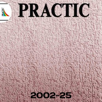 Виниловые обои структурные Practic 2002-25