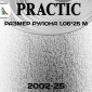 Обои Практик 2002-25 в рулоне 1,06х25 м
