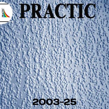Виниловые обои структурные Practic 2003-25