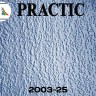 Виниловые обои структурные Practic 2003-25