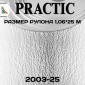 Обои Практик 2003-25 в рулоне 1,06х25 м