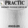 Обои Практик 2003-25 в рулоне 1,06х25 м