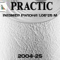 Обои Практик 2004-25 в рулоне 1,06х25 м