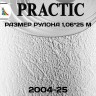 Обои Практик 2004-25 в рулоне 1,06х25 м