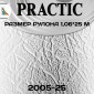 Обои Практик 2005-25 в рулоне 1,06х25 м