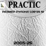 Обои Практик 2005-25 в рулоне 1,06х25 м