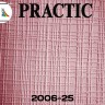 Виниловые обои структурные Practic 2006-25