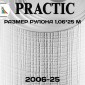 Обои Практик 2006-25 в рулоне 1,06х25 м