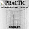 Обои Практик 2006-25 в рулоне 1,06х25 м