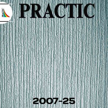 Виниловые обои структурные Practic 2007-25