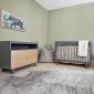 Дизайнерские стеклообои Wellton Decor Физалис