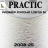 Обои Практик 2008-25 в рулоне 1,06х25 м