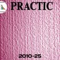 Виниловые обои структурные Practic 2010-25