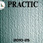 Обои под покраску Practic 2010-25 Vlies Band