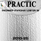 Обои Практик 2010-25 в рулоне 1,06х25 м