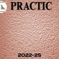 Виниловые обои структурные Practic 2022-25