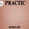 Виниловые обои структурные Practic 2022-25