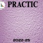 Флизелиновые обои Practic Vlies Band 2022-25