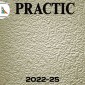 Обои под покраску Practic 2022-25 Vlies Band