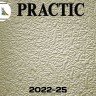 Обои под покраску Practic 2022-25 Vlies Band