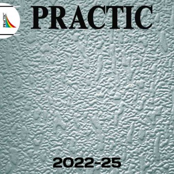 Обои Practic Vlies Band 2022-25