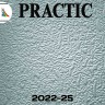 Обои Practic Vlies Band 2022-25