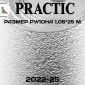 Обои Практик 2022-25 в рулоне 1,06х25 м