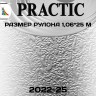 Обои Практик 2022-25 в рулоне 1,06х25 м