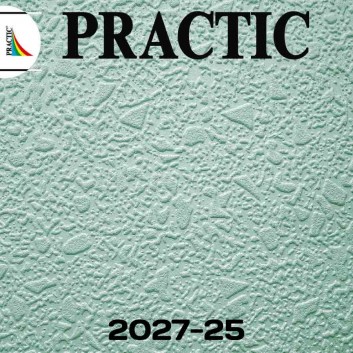 Виниловые обои структурные Practic 2027-25