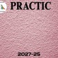 Обои Practic Vlies Band 2027-25