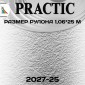 Обои Практик 2027-25 в рулоне 1,06х25 м