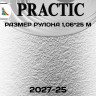 Обои Практик 2027-25 в рулоне 1,06х25 м